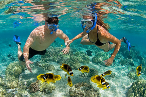 Blue Lagoon Snorkeling Adventure